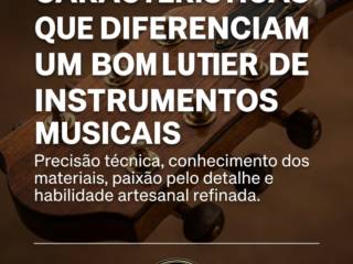 Características que diferenciam um bom luthier de instrumentos musicais
