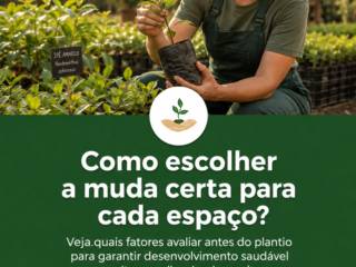 Como escolher a muda certa para cada espaço?