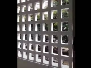 Mr Redes E Persianas 