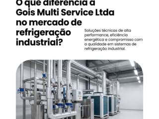 O que diferencia a Gois Multi Service Ltda no mercado de refrigeração industrial?
