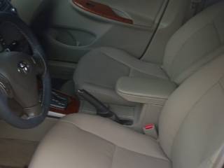 Bancos corola em couro animal bege