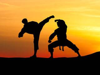 Artes marciais em Osasco: aprender também é compartilhar