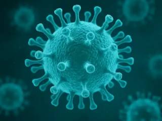 HPV em homens: o que é, como tratar e quando se preocupar