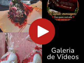 Galeria de Vídeos 
