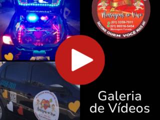 Galeria de Vídeos 