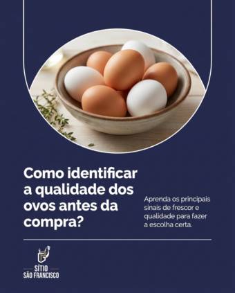 Como identificar a qualidade dos ovos antes da compra?
