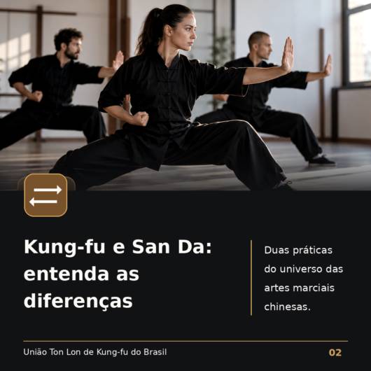 Kung-fu e San Da: entenda as diferenças