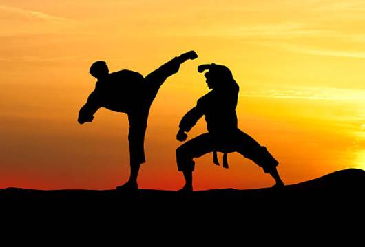 Artes marciais em Osasco: aprender também é compartilhar