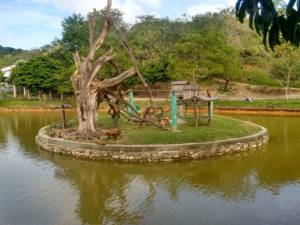 Parque da Cidade em Aracaju