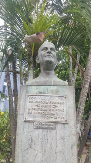 Busto do Doutor Joaquim Furtado Pinto 