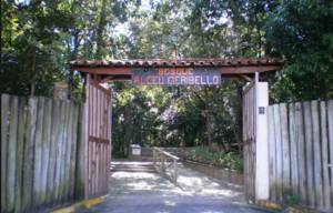 Bosque Alceu Geribello
