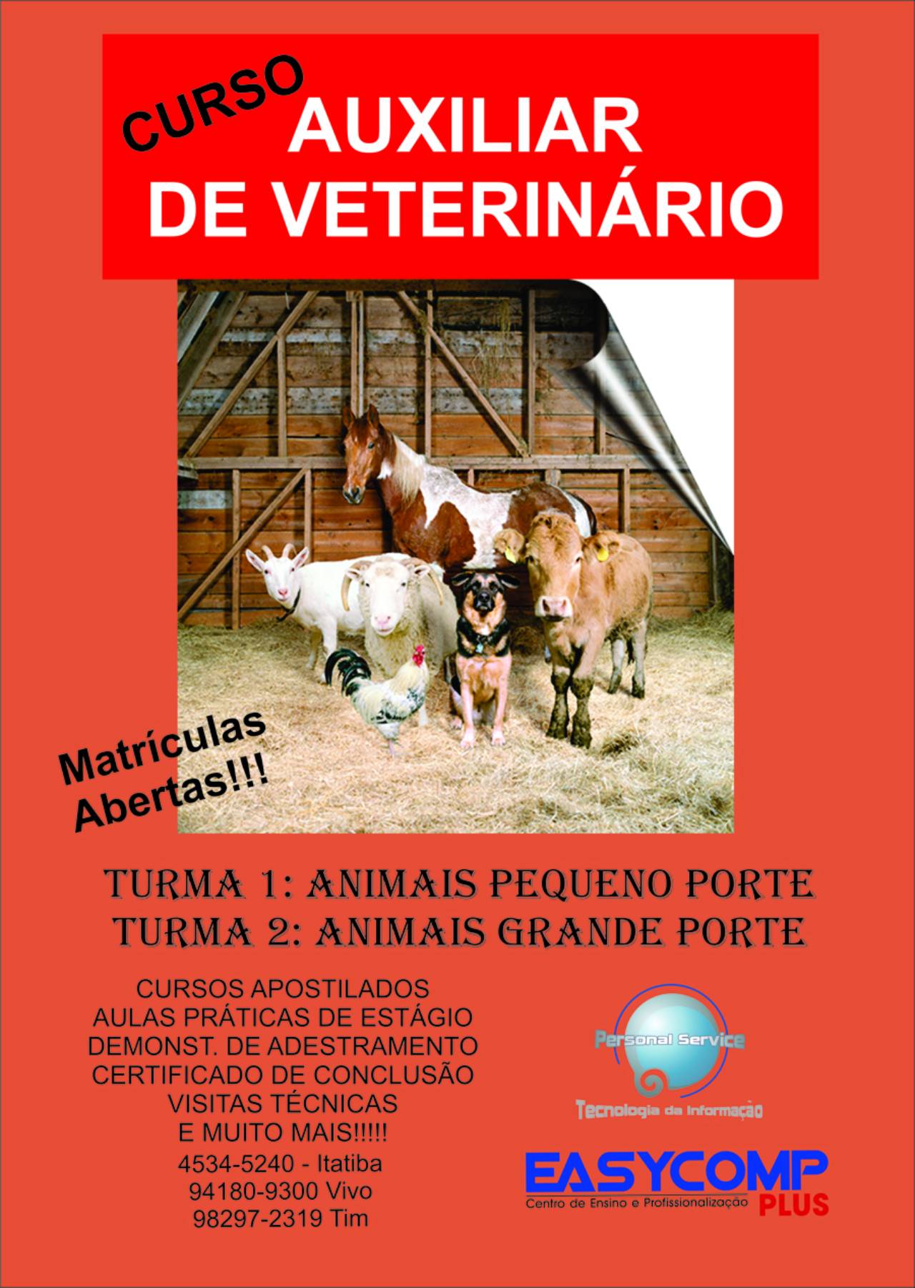 Curso Auxiliar De Veterinário Animais De Grande Porte Em Itatiba Sp Classificados Solutudo 