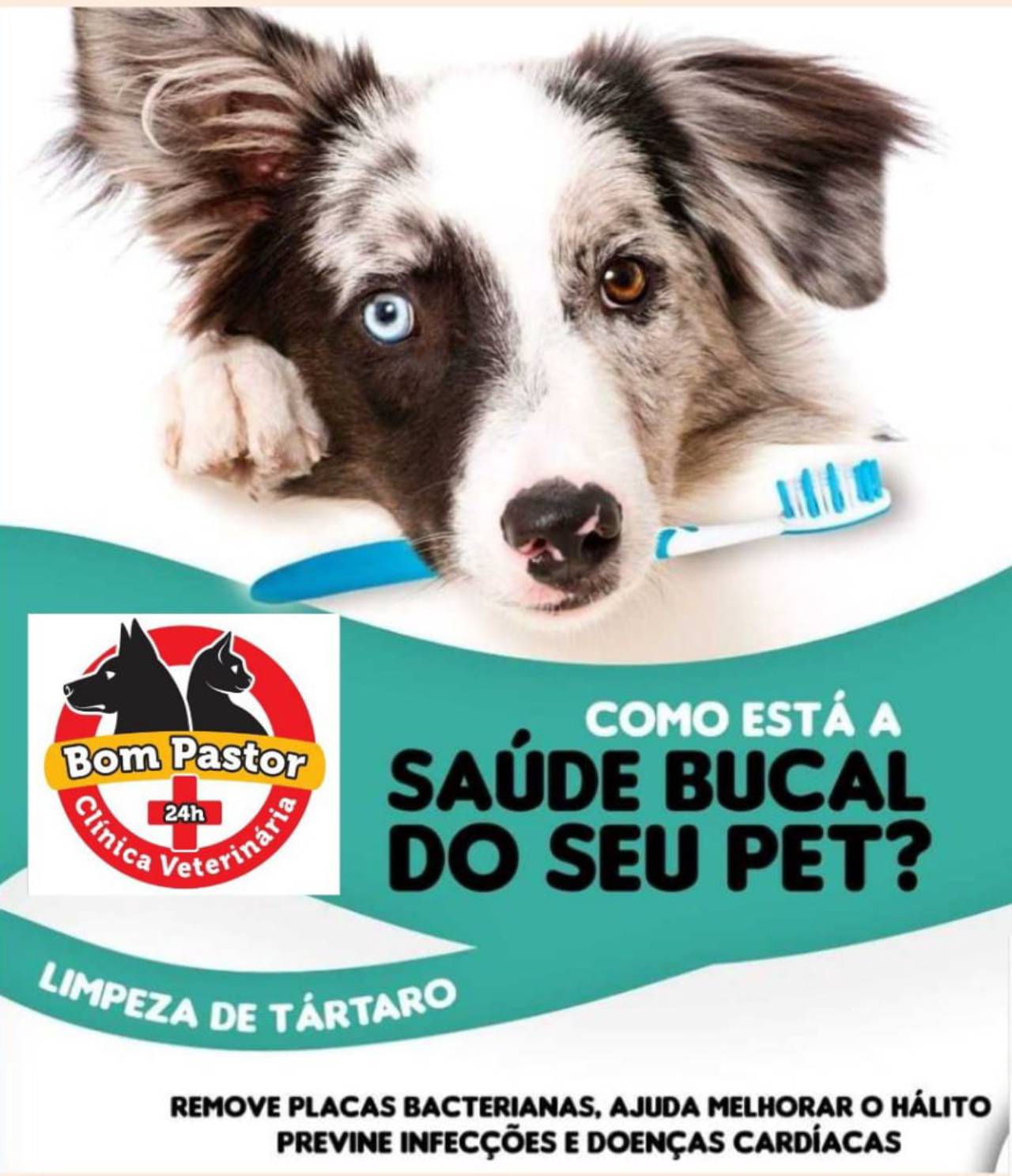 CENTRO VETERINÁRIO BOM PASTOR