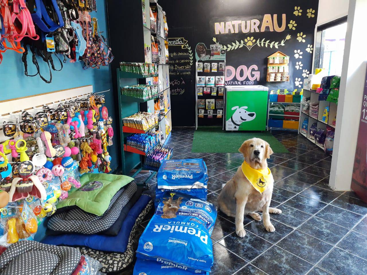 Onde Encontrar Pet Shop Banho Parque dos Camargos - Pet Shop Perto