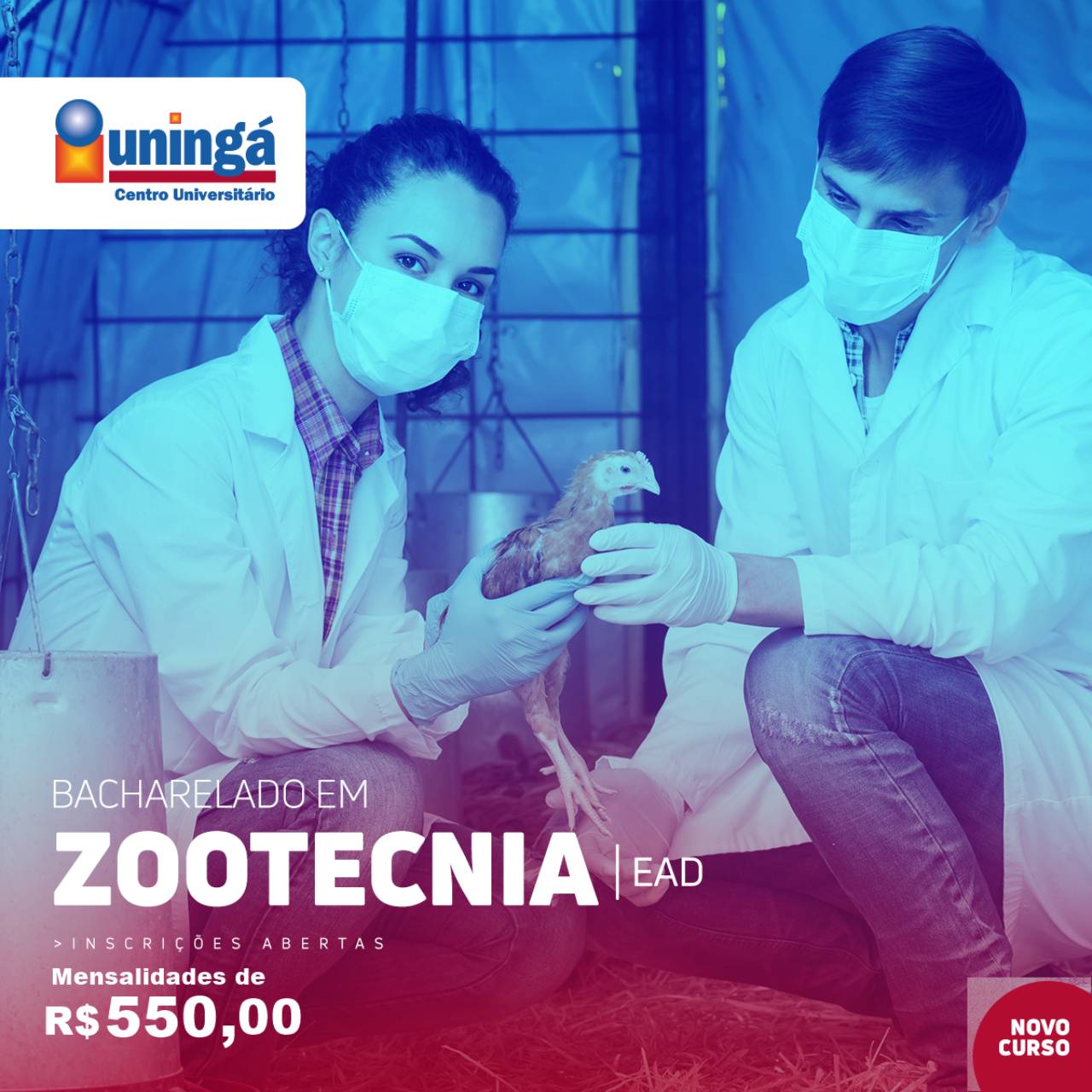 Curso de zootecnia em Foz do Iguaçu, PR | Classificados - Solutudo