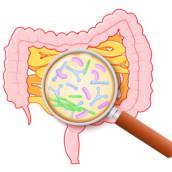 Avaliação genética da microbiota intestinal