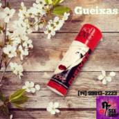 Gueixas