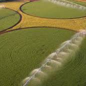 Projetos de Pivô Central em Avaré, SP para Irrigação Eficiente