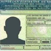 Renovação de Habilitação