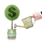 Projetos de investimento