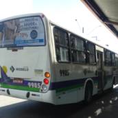 Busdoor 