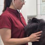 CLÍNICA GERAL E ESPECIALIDADES