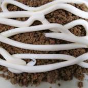 Pastel de carne com catupiry