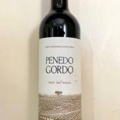 Penedo Gordo Tinto