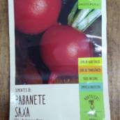 semente rabanete saxa 