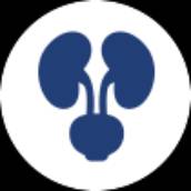 Urologia