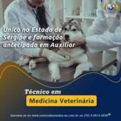 TÉCNICO EM VETERINÁRIA