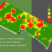 Falhas de Plantio Florestal