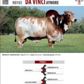 Touro Nelore Pintado Da Vinci Aymore (N0103)