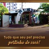 Henrique savi 8-8