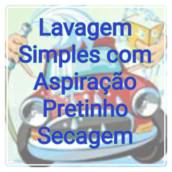 Lavagem Simples