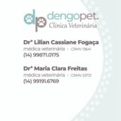 Coleta para Exames Veterinários em São Manuel – Dengopet