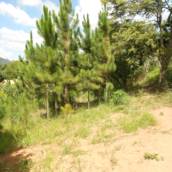Terreno Recanto dos Pássaros