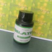 Dilatex- Bady Muscle