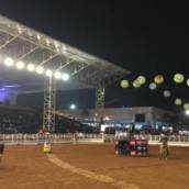 Cia Gianotti de Rodeios
