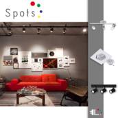 Spot