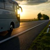Vistoria em Ônibus 