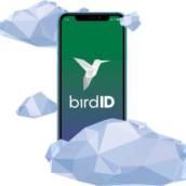  Bird ID Recarga com 5000 Transações 