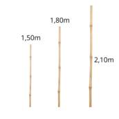Bambu natural seco
