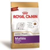 MALTÊS PUPPY ROYAL CANIN