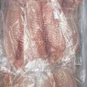 Peixes em geral
