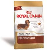 DACHSHUND ADULT ROYAL CANIN