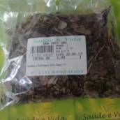 Uva ursi
