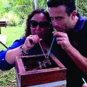 Educação Ambiental