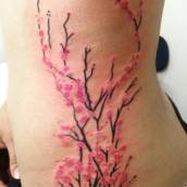 Tattoo na Costela 