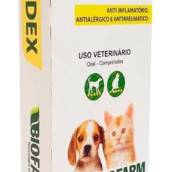 Antialérgico para Gatos